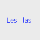 Agence immobiliere les lilas